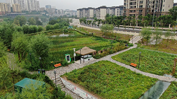 北碚區(qū)梁灘河內源整治及清淤工程