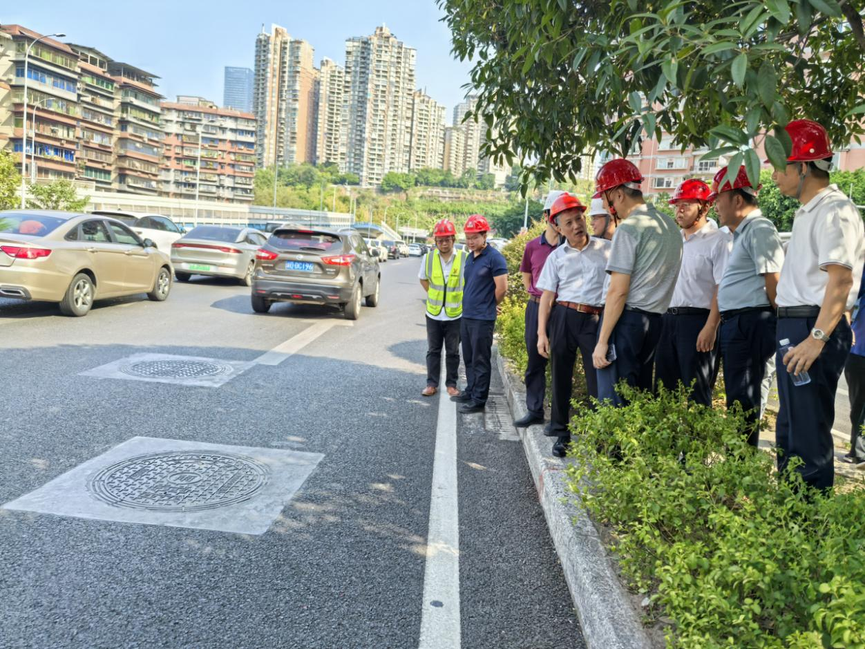 20241009030004824 20241009030004824