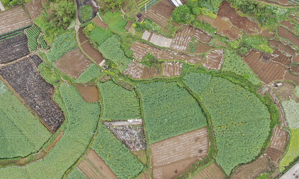 農(nóng)田修復(fù)